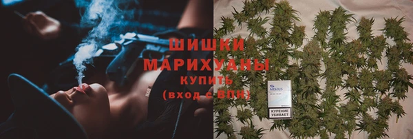 хмурый Бердск