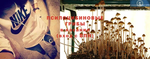 тгк Ачинск
