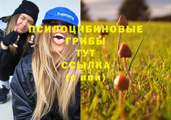 стафф Михайловск