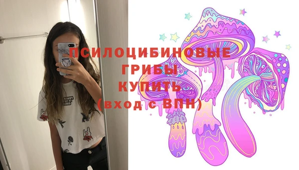 стафф Михайловск