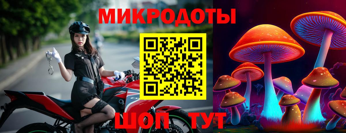 Томск  купить наркотики сайты  Галлюциногенные грибы мицелий  Вход с VPN  Псилоцибиновые грибы Psilocybine cubensis 
