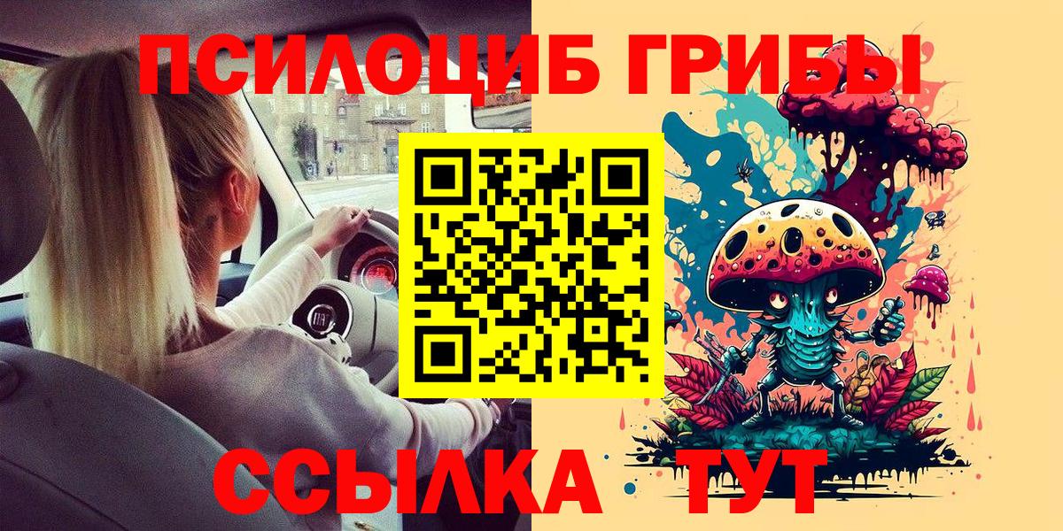 Псилоцибиновые грибы ЛСД Томск