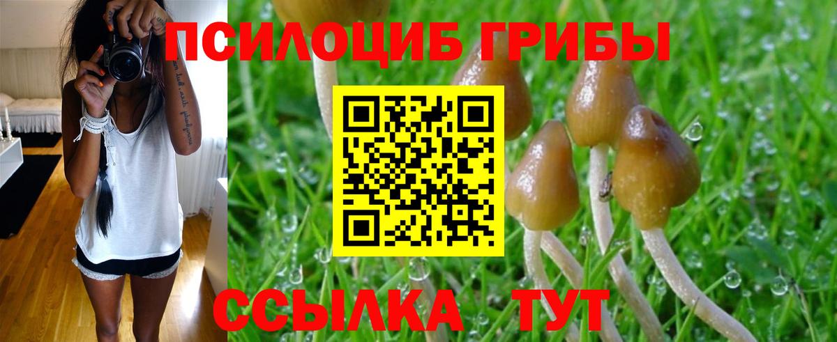 Псилоцибиновые грибы мицелий  Томск 