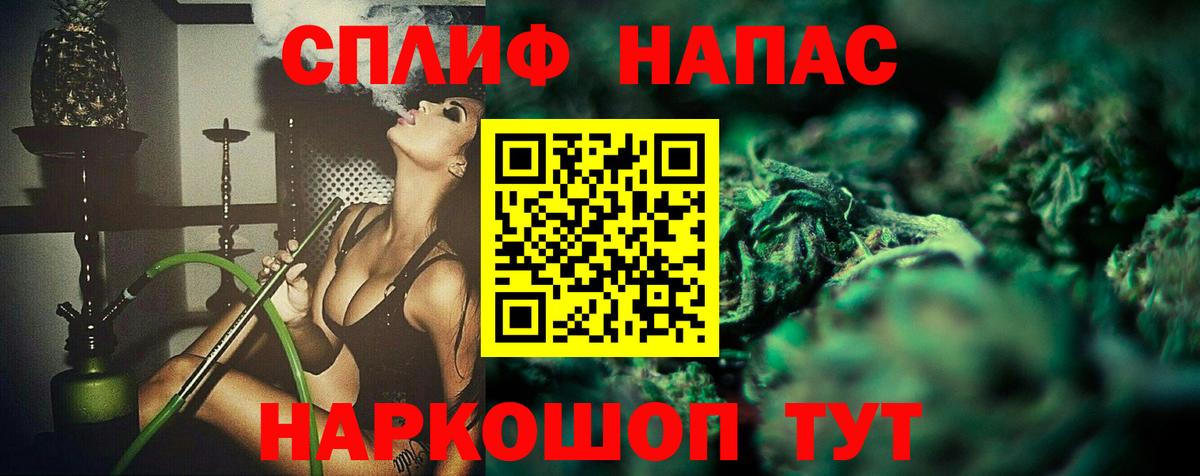 Бошки Шишки конопля Томск